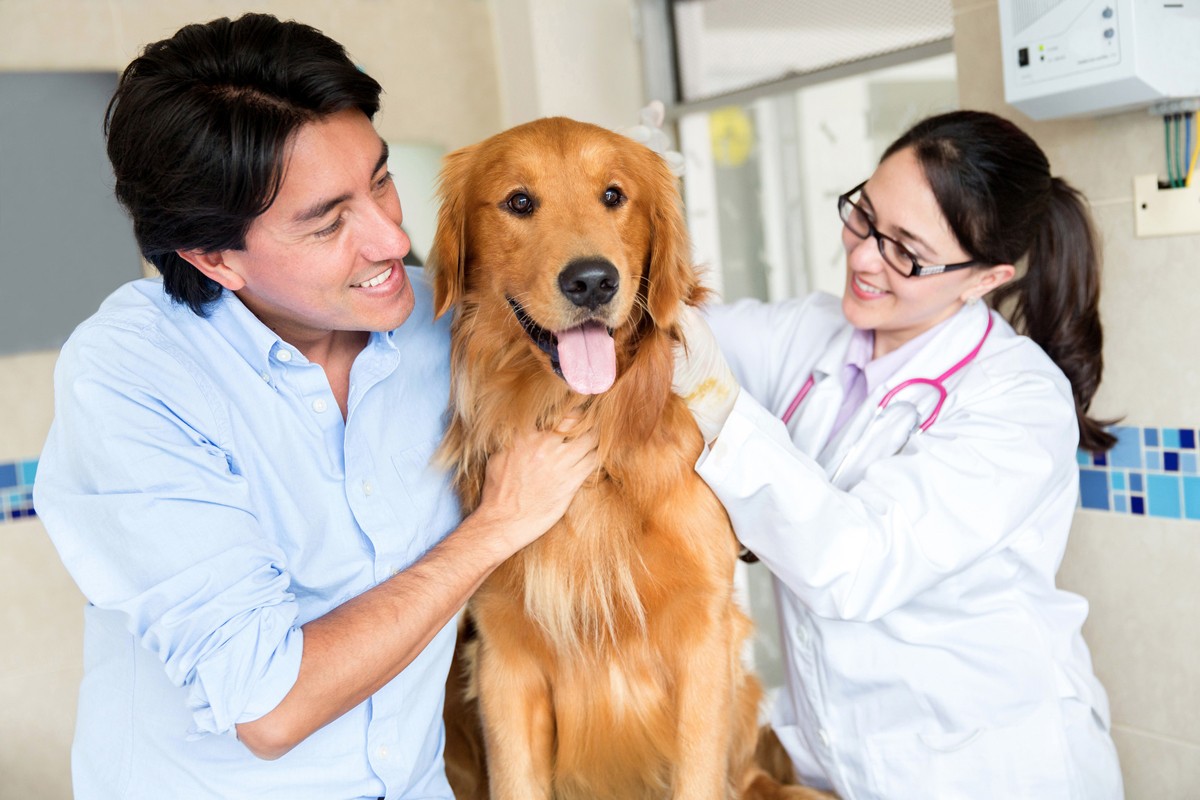 Preventative Care - Manor Veterinary Hospital