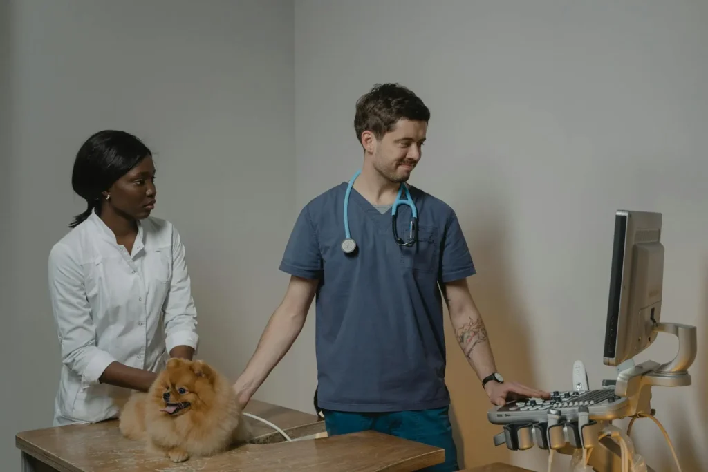 A male veterinarian stands at an ultrasound machine while a female colleague holds a Pomeranian dog on an examination table.